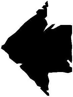 Cartevisit.gif (23218 octets)